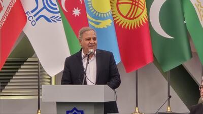 رییس مجمع نمایندگان استان همدان: کشورهای عضو اکو مراکز درمانی مجهز راه‌اندازی کنند