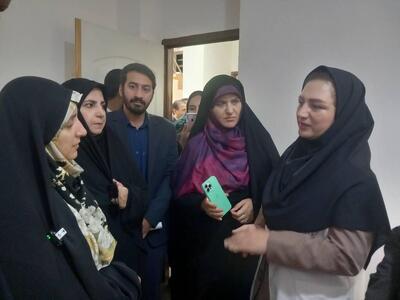 بازدید معاون رئیس جمهور از طرح های عمرانی ، خدماتی ملکشاهی