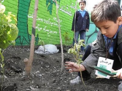 مدارس محور فرهنگ‌سازی زیست‌محیطی در ملارد