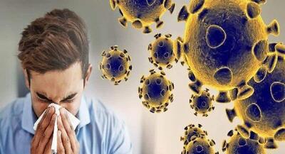 ظهور سویه جدید کووید۱۹ در بخش‌هایی از جهان | جهان نیوز