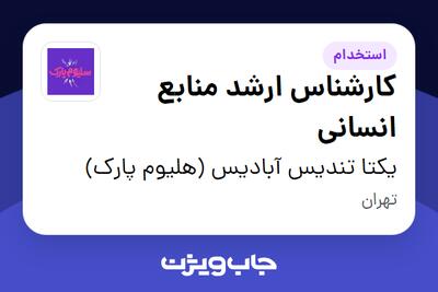استخدام کارشناس ارشد منابع انسانی در یکتا تندیس آبادیس (هلیوم پارک)