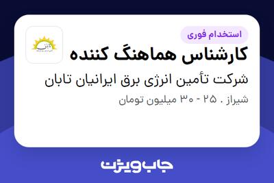 استخدام کارشناس هماهنگ کننده - آقا در شرکت تأمین انرژی برق ایرانیان تابان