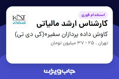استخدام کارشناس ارشد مالیاتی در کاوش داده پردازان سفیر0(کی دی تی)