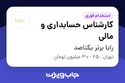 استخدام کارشناس حسابداری و مالی در رایا برتر یکتاصد