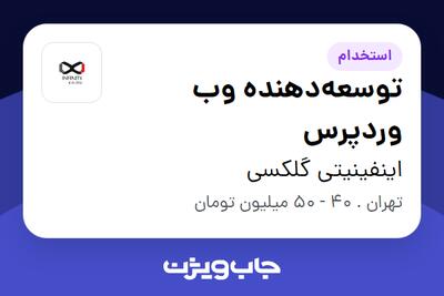 استخدام توسعه‌دهنده وب وردپرس در اینفینیتی گلکسی