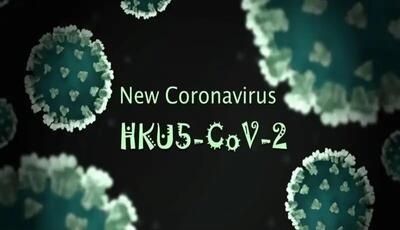 فقط یک جهش کوچک تا «اپیدمی»؛ کروناویروسِ  HKU۵-CoV۲ در کمین/ باز هم پای خفاش‌ها در میان است؟