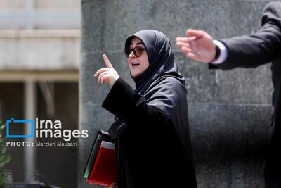 حواشی هیات دولت در روز چهارشنبه+عکس