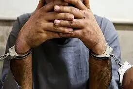 کلاهبردار ۲۰۰۰ میلیاردی در تهران دستگیر شد
