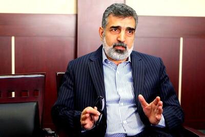 کمالوندی: غنی‌سازی به شکل چشمگیری افزایش خواهد یافت