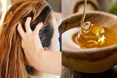 ماسک خانگی برای موخوره و رشد مو با تخم مرغ و روغن زیتون - سبک ایده آل