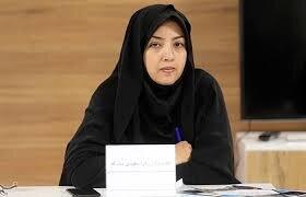 سخنگوی کمیسیون صنایع و معادن مجلس: ناترازی انرژی فشار سنگینی برکمیسیون صنایع تحمیل کرد | شفقنا