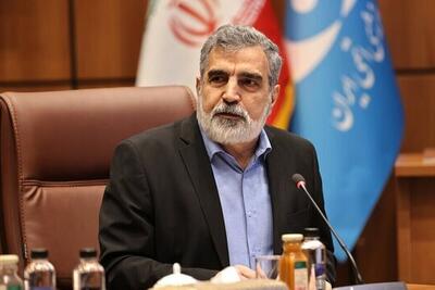 کمالوندی: قطعنامه شورای حکام عملیات تکراری کشور‌های غربی است | غنی سازی به شکل چشمگیری افزایش خواهد یافت