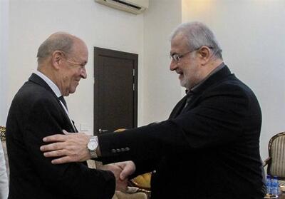 گفت‌وگوی لودریان و محمد رعد درباره یونیفل و تجاوزات اسرائیل - تسنیم