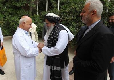 مولوی جلالی: افغانستان نیازمند همکاری پزشکی ایران است - تسنیم