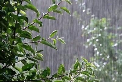 رگبار پراکنده و کاهش دما در شمال کشور؛ طوفان گردوخاک در راه استان‌های شرقی و مرکزی