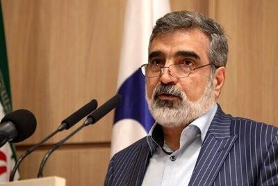 کمالوندی: به فردو حمله نشده؛ در نطنز آسیب‌هایی وارد شده است