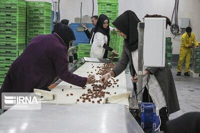تعاونی‌های خراسان شمالی بیش از ۲۷ میلیون دلار صادرات داشتند 