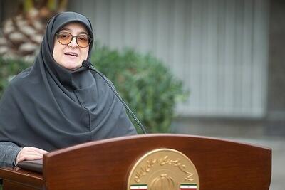 مهاجرانی: ایران آغازگر جنگ نبوده اما برابر تجاوز سکوت نمی‌کند