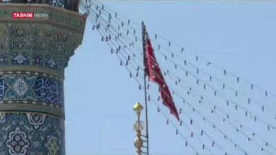 اهتزار پرچم انتقام بر فراز مسجد جمکران