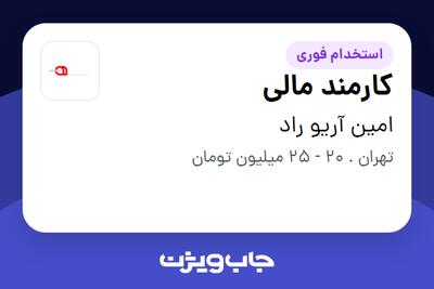 استخدام کارمند مالی در امین آریو راد