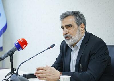 کمالوندی: به فردو حمله نشده؛ در نطنز آسیب‌هایی وارد شده است