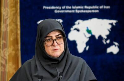 سخنگوی دولت: ایران دربرابر تجاوز هرگز سکوت نکرده و نخواهد کرد