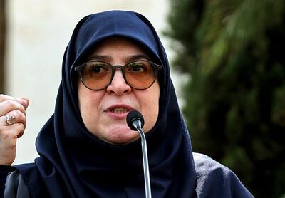 سخنگوی دولت: در زمان مناسب پاسخ می‌دهیم
