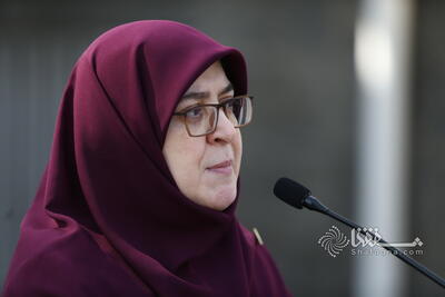مهاجرانی: پاسخ ایران، قاطع، مشروع و در زمان مناسب خواهد بود | شفقنا