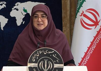 سخنگوی دولت: پاسخ ما به اسرائیل قاطع و مشروع است - تسنیم