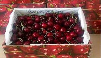 میوه‌ای مغذی که به کاهش علائم آرتروز کمک می‌کند