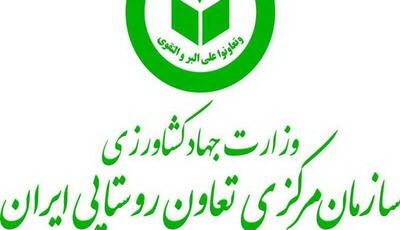 اعلام آمادگی توزیع کالاهای اساسی بدون محدودیت در سراسر کشور