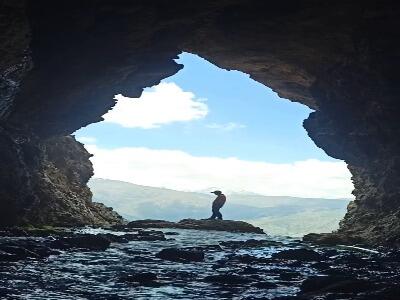پدیده ای نادر جهان در دورود لرستان