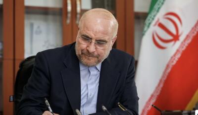 لغو نشست خبری رئیس مجلس/ دوشنبه جلسه رای اعتماد مدنی‌زاده