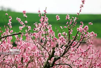 گرمای گیلان کاسته می‌شود