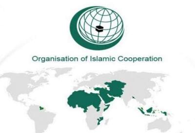 در پی حملات اسرائیل به ایران،سازمان همکاری اسلامی بیانیه صادر کرد