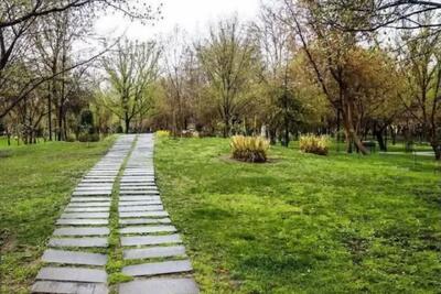 دمای هوای مشهد به ۳۸ درجه می رسد