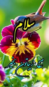 فال و طالع بینی روزانه 24 خرداد