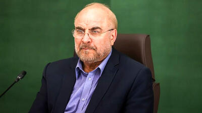 مجلس همچون گذشته پشتیبان نیروهای مسلح خواهد بود