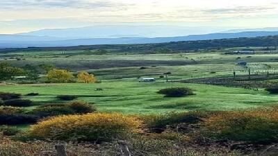 کاهش نسبی دمای هوای گیلان