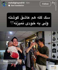 واکنش معنادار مهدی قائدی به وطن فروشان