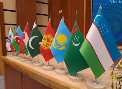 سازمان اکو تجاوز رژیم صهیونیستی را محکوم کرد - اکونیوز