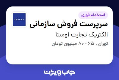 استخدام سرپرست فروش سازمانی در الکتریک تجارت اوستا