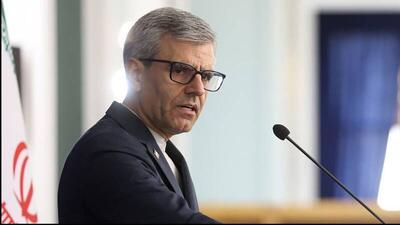 بقایی: ایرانیان حس انسان دوستی دارند