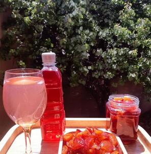 طرز تهیه شربت شلیل خانگی با ماندگاری بالا برای زمستان