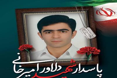 عاشقی که شهادتنامه‌اش را از امام رضا(ع) گرفت