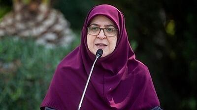 مهاجرانی: دولت با تمام توان پای کار است - شهروند آنلاین