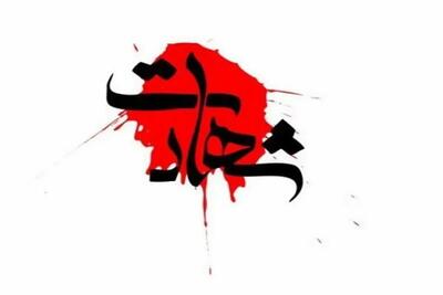 دانشمند هسته ای اهل مازندران به شهادت رسید