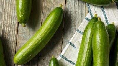 اگر هر روز خیار مصرف کنیم چه اتفاقی در بدن‌مان می‌افتد؟