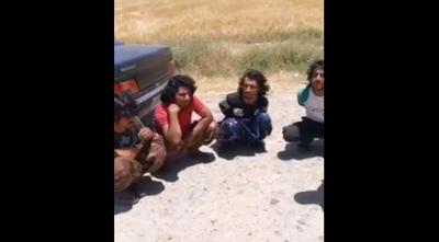دستگیری اتباع خارجی و ریزپرنده‌ها در عملیات بسیج ناحیه دلفان لرستان (فیلم)
