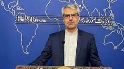 بقائی: تا زمان ادامه تجاوز از مردم دفاع می‌کنیم
